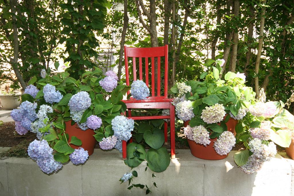 Hydrangea House Inn Ньюпорт Екстер'єр фото